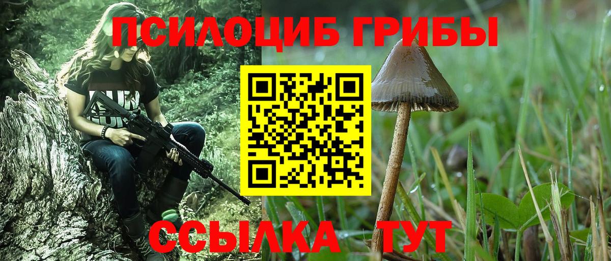 Галлюциногенные грибы Cubensis Кандалакша
