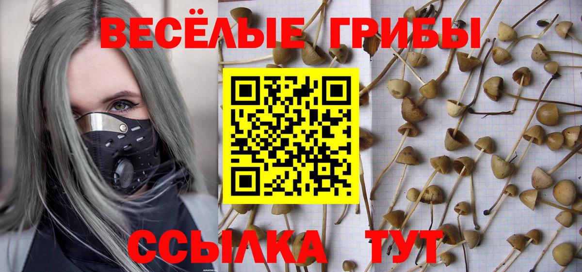Псилоцибиновые грибы мицелий  Галлюциногенные грибы мицелий  Вход с VPN  Кандалакша 